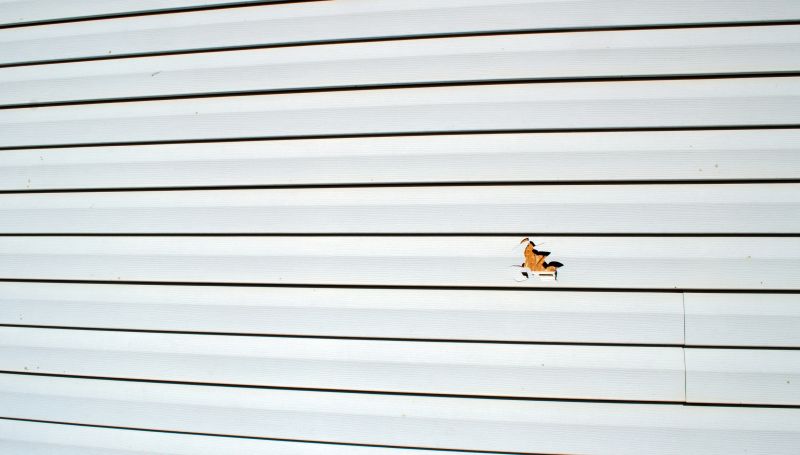 Siding Maintenance Tips